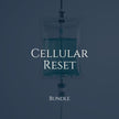 Cellular Reset - Bundle