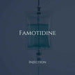 Famotidine 20mg IV - Add-on